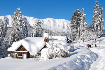 Jammu-Srinagar-Sonmarg-Pahalgam-Gulmarg Tour